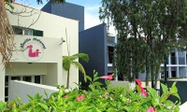 Exercício de evacuação - Auxílio Maternal do Funchal